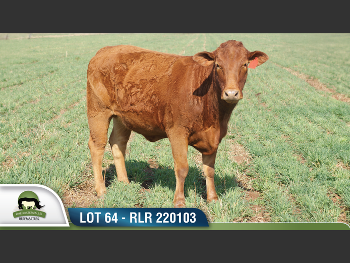 RLR 220103 | RHENOSTERVALLEI
