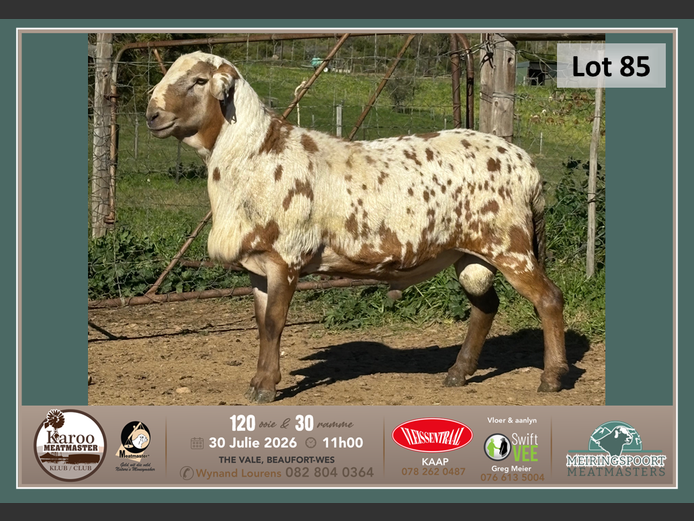 GP 006 | Tiaan Lourens - Meiringspoort Meatmasters