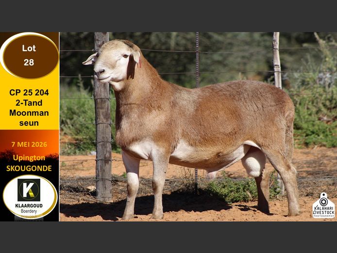 CP 25 204 | KLAARGOUD BOERDERY