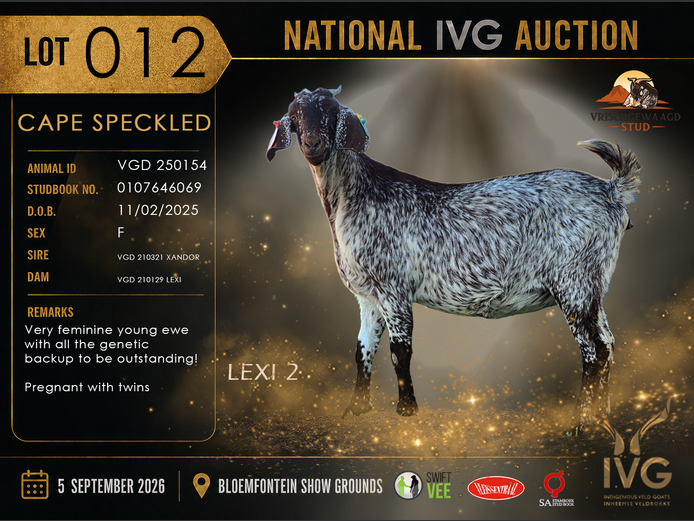 VGD 250154 LEXI 2 | VRISCHGEWAAGD STOET