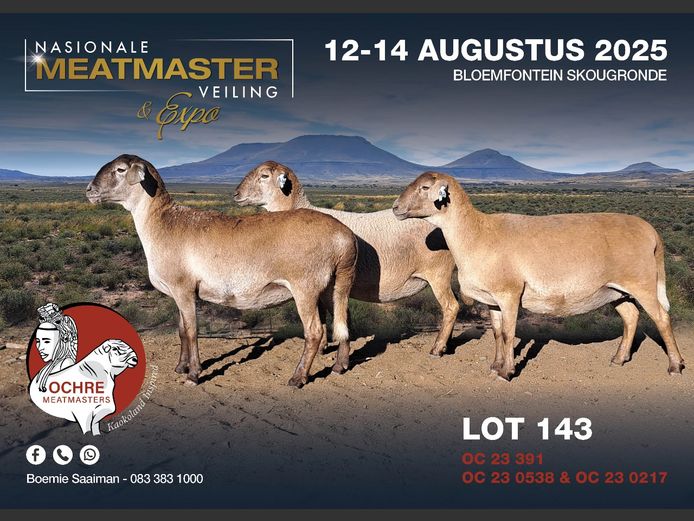 OC 23 0217 | AANGETEKEN | Boemie Saaiman - Ochre Meatmasters
