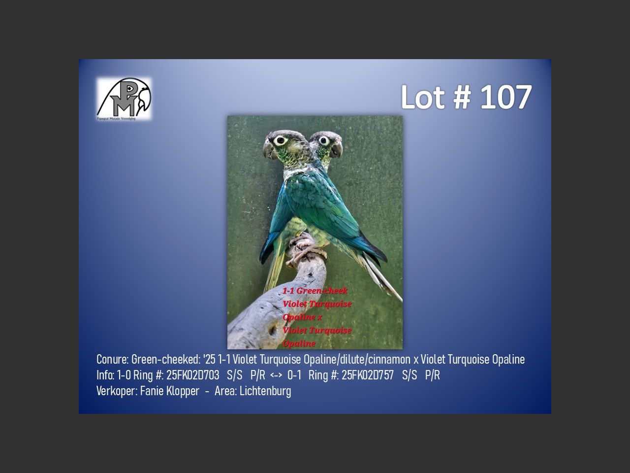 images