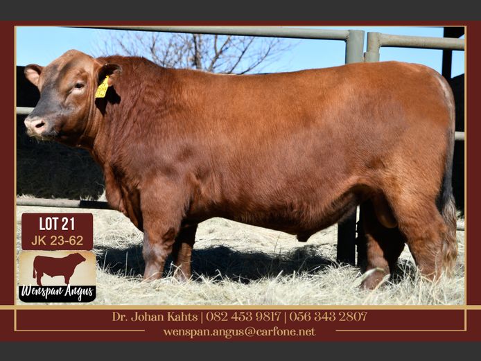 JK 230062 | J. KAHTS