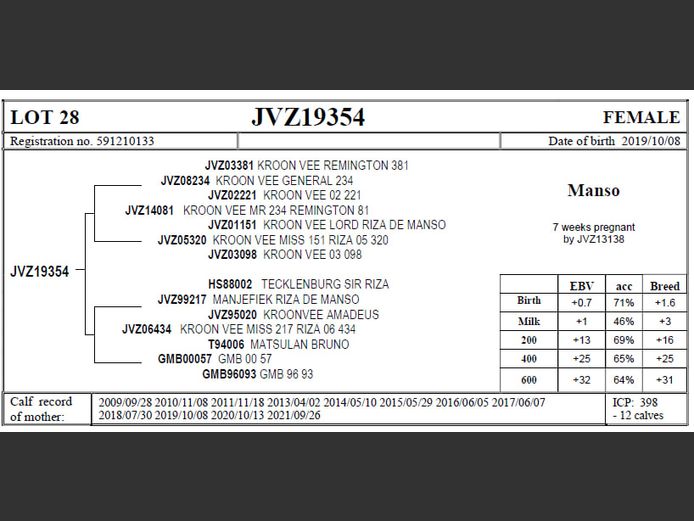 JVZ19-354