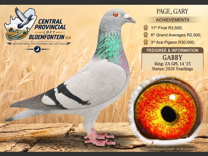 GPL 14 2025 | PAGE, GARY