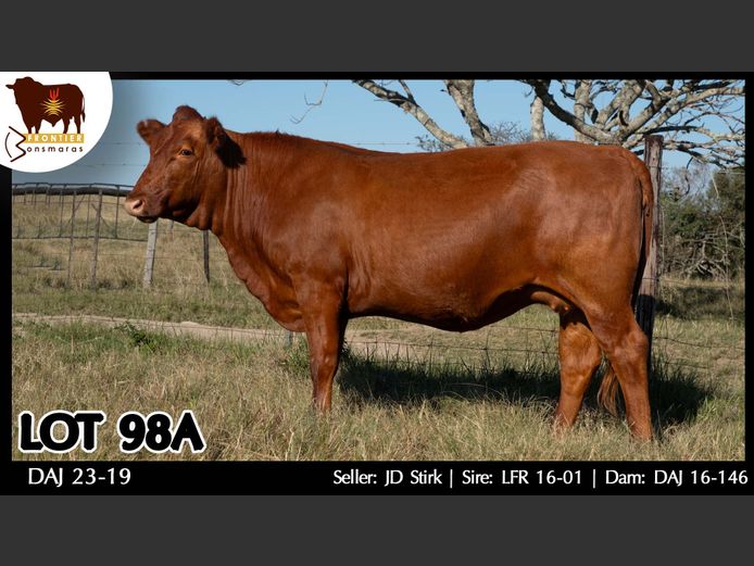 DAJ 230019 | J.D. STIRK