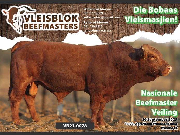 21-0078VB | VLEISBLOK BEEFMASTER