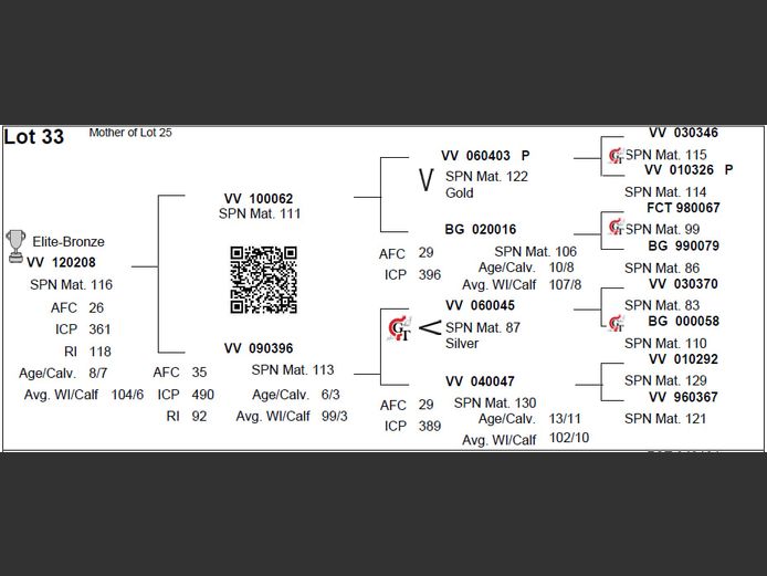 VV 120208