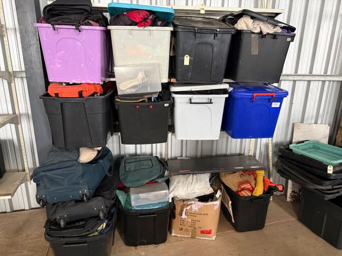 Jumbo Lot of Bargain Bins & Content 