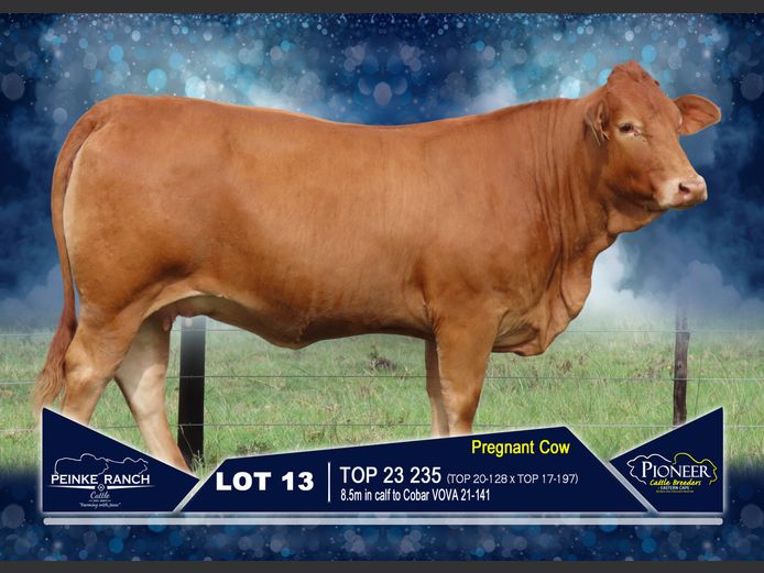 TOP 230235 | PEINKE RANCH