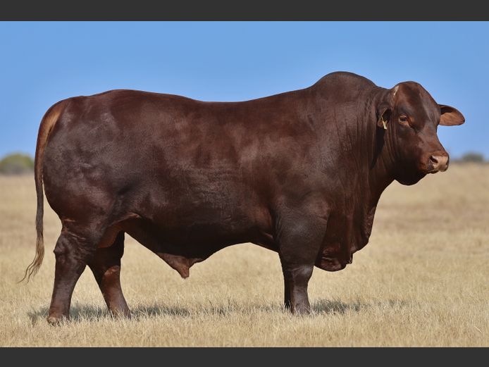 VV  220235 | T. DE JAGER