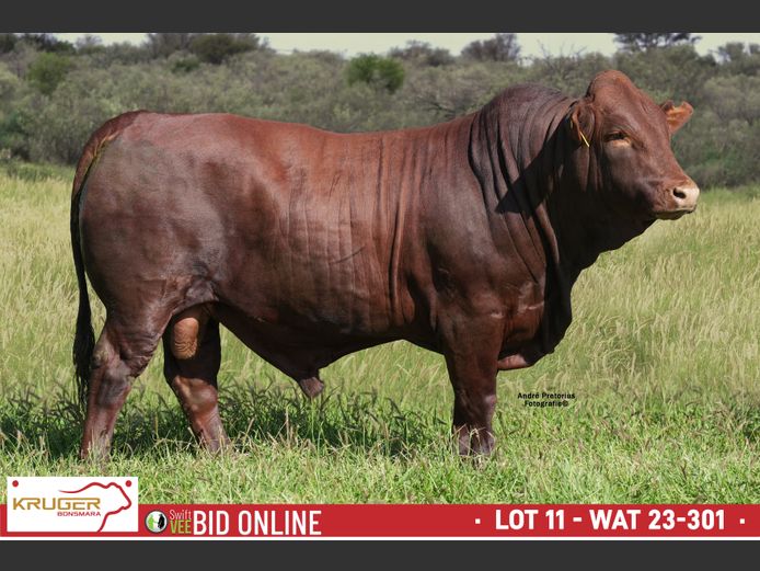 WAT 230301 | KRUGER BOERDERY