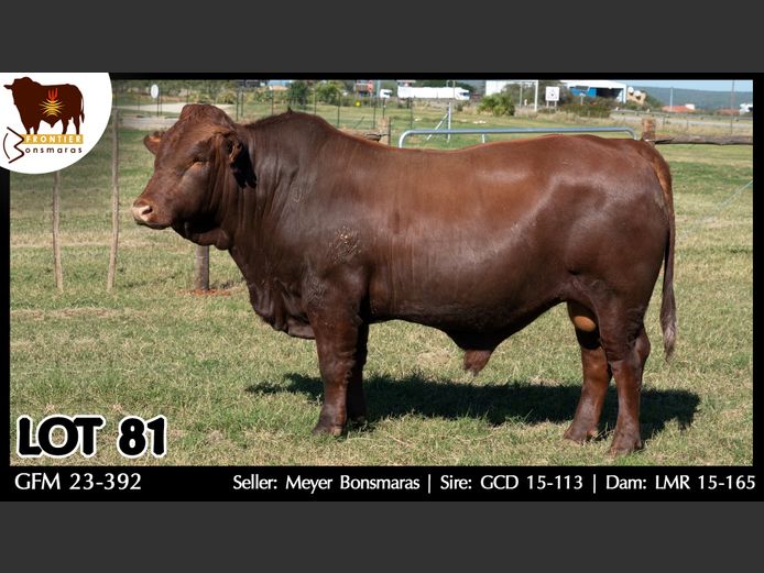 GFM 230392 | MEYER BONSMARAS
