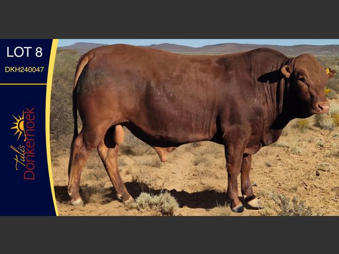 DKH240047 | DONKERHOEK BOERDERY TRUST