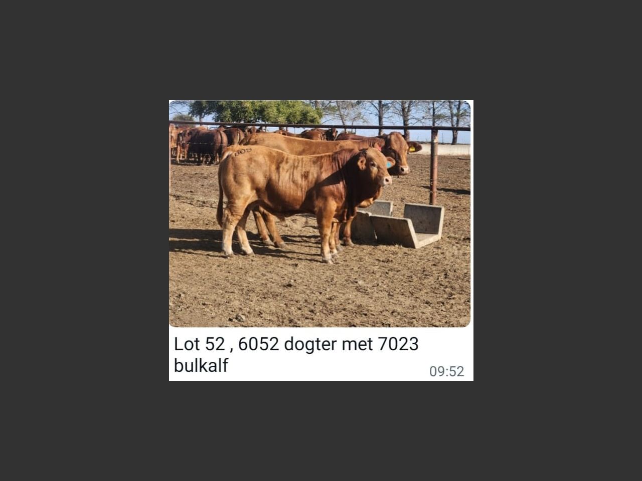 images