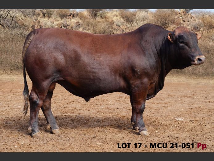 MCU21-0051