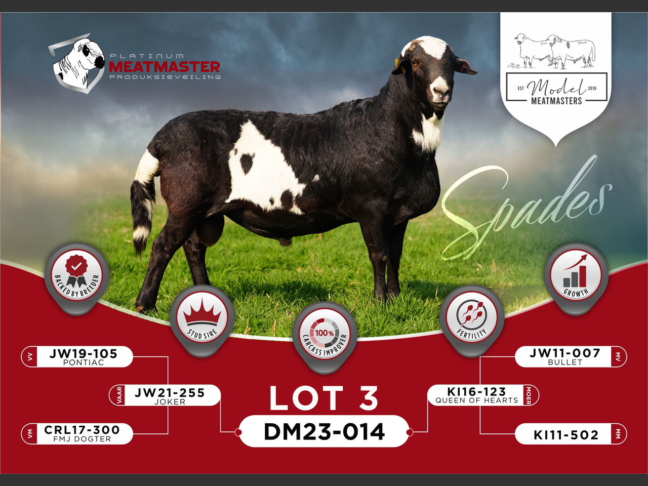 Lot 3 | PLATINUM MEATMASTER PRODUKSIEVEILING | SwiftVEE | South Africa ...