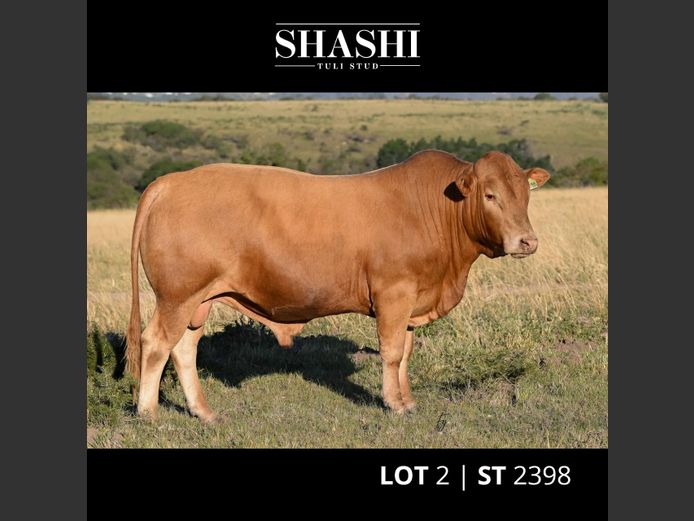 ST 230098