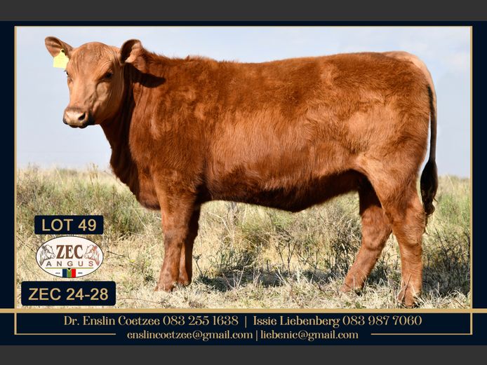 ZEC240028 | Z.E. COETZEE