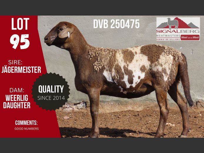 DVB 250475 | SIGNALBERG MEATMASTERS