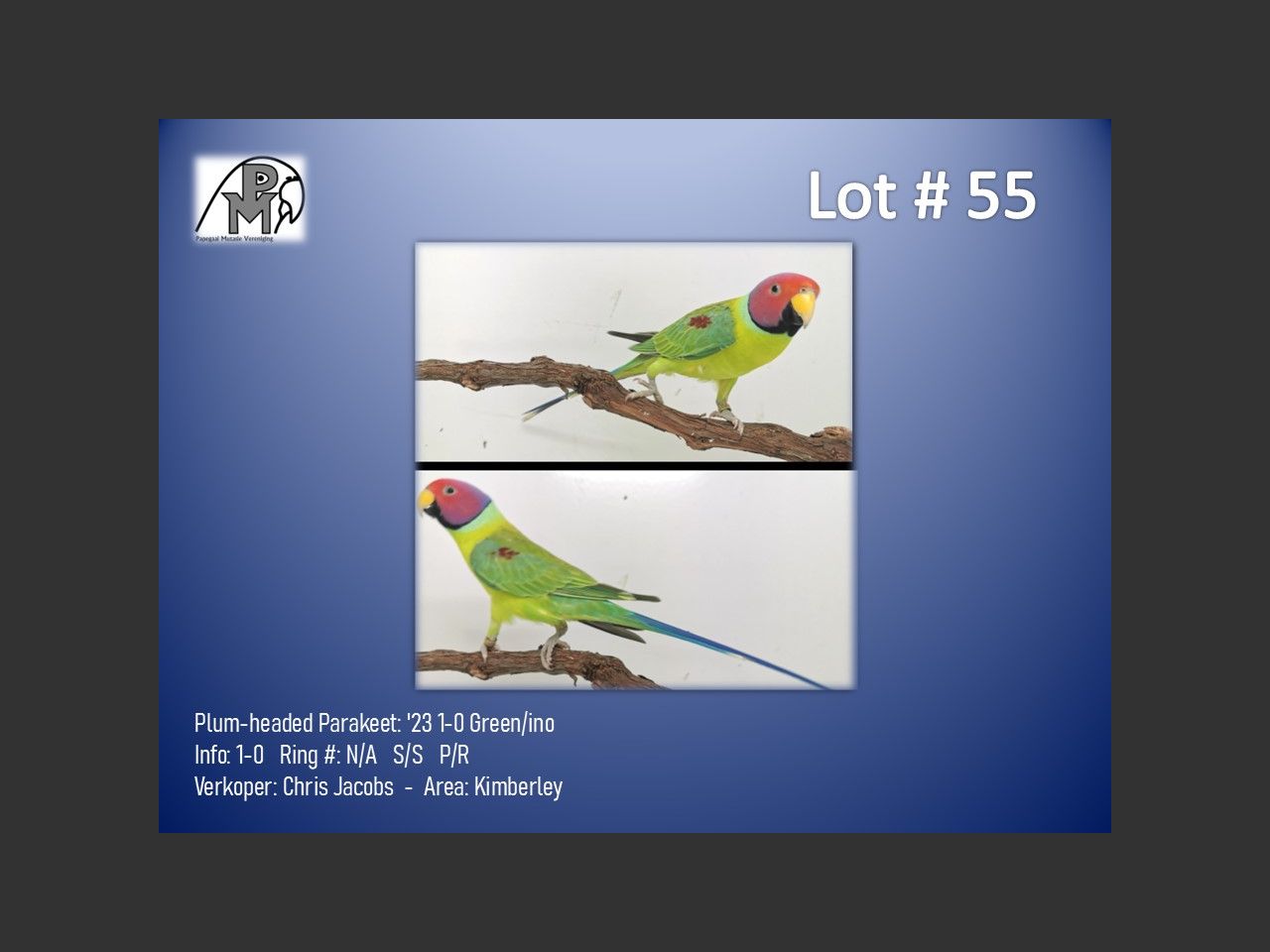 images