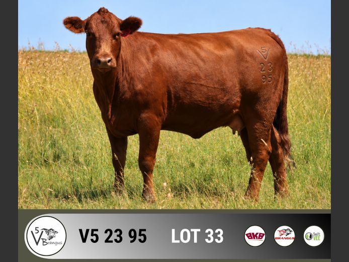 V52395