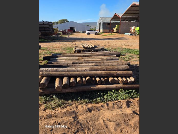 Houtpale (+-45, 1.5mx120mm)