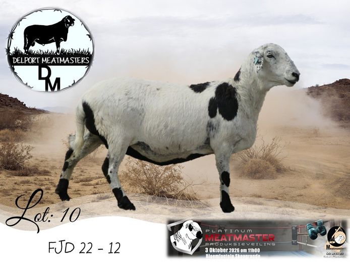 FJD 22-012 | Delport Boerdery