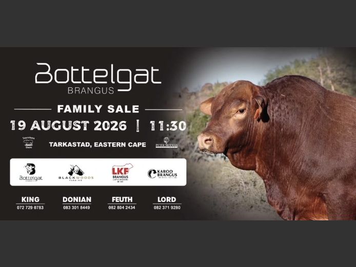 BOTTELGAT BRANGUS FAMILY SALE