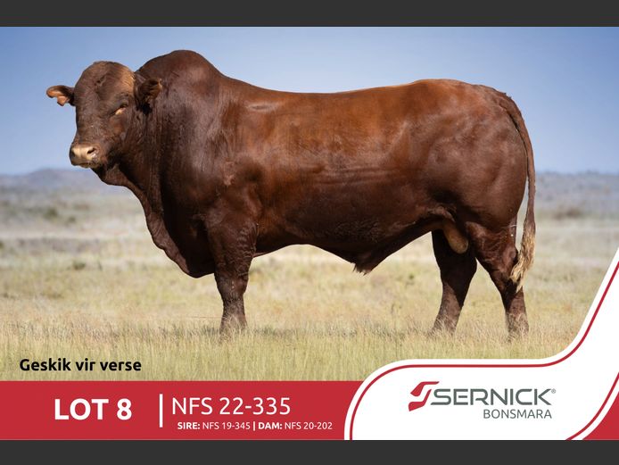 NFS 220335 | SERNICK BONSMARA STOET