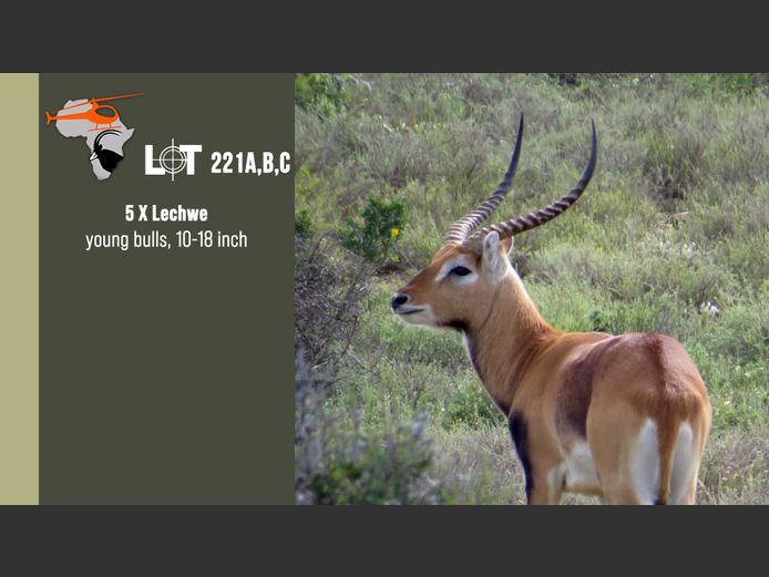 Lechwe