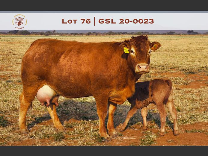 20-0023GSL | GOLDEN-SUN LIMOUSINES