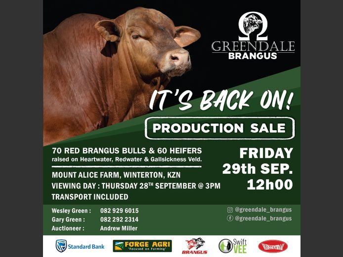 GREENDALE BRANGUS PRODUCTION SALE