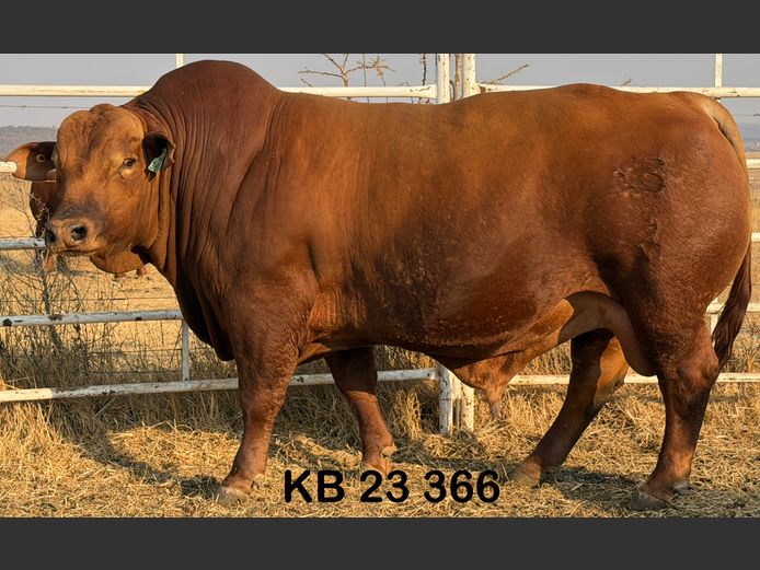 KB23366