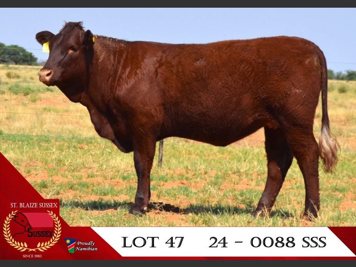 24-0088SSS | ST. BLAIZE SUSSEX