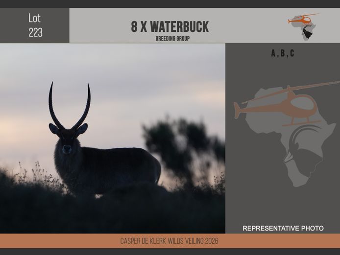 Waterbuck