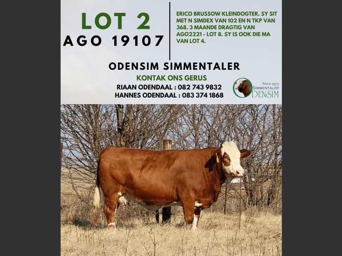 AGO19107 | AG ODENDAAL