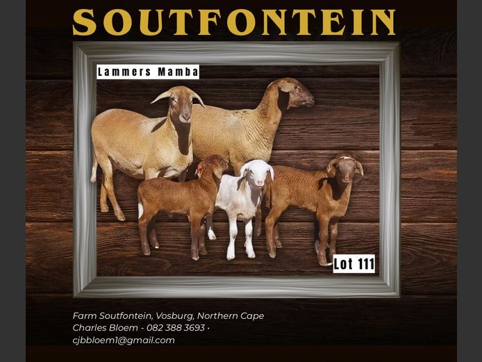 CB 240005 | SOUTFONTEIN MEATMASTERS