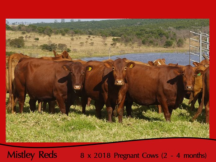 Commercial Animals | Mistley Red - Les Trollope