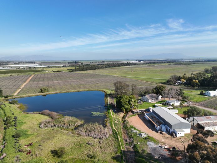 339ha Vineyard, Wheat & Citrus Farm - Porterville
