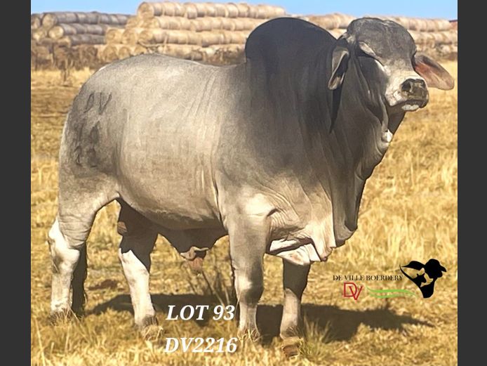 DV2216 | DE VILLE BOERDERY (EDMS) BPK
