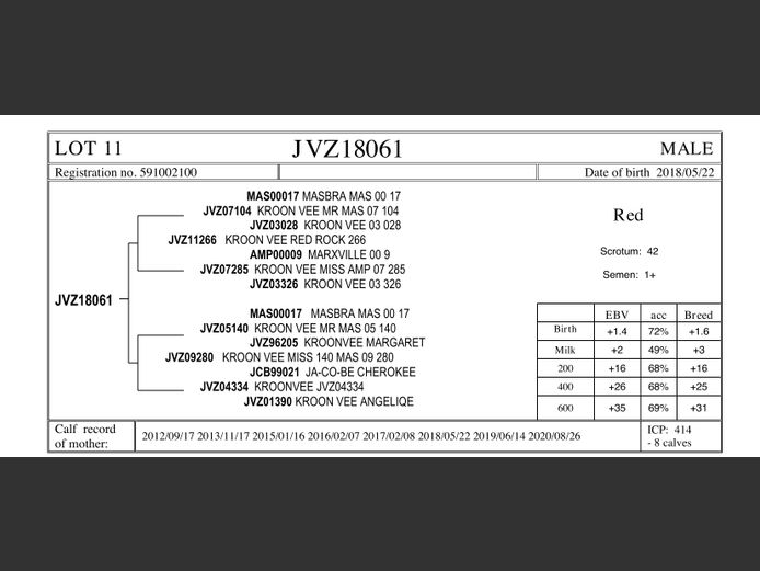 JVZ18-61