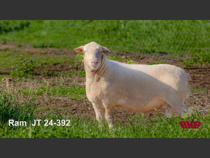 JT240392 | REMKUIL BOERDERY (EDMS) BPK