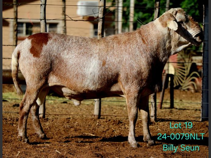 24-0079NLT | LEKWATER