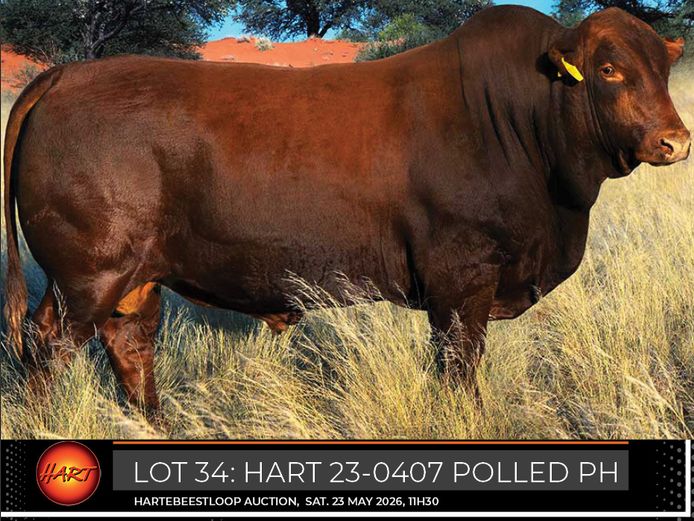HART230407Pp(c) | HARTEBEESTLOOP BONSMARA