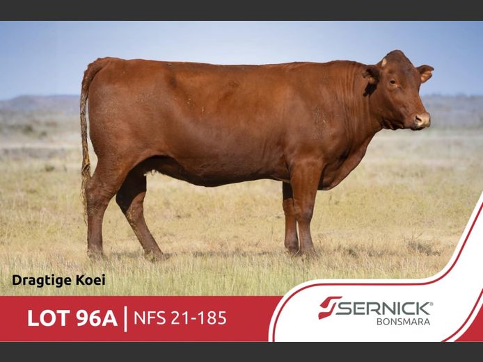 NFS 210185 HH(c) | SERNICK BONSMARA STOET