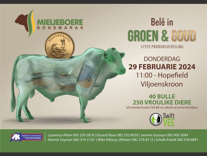 MIELIEBOERE BONSMARA 37STE PRODUKSIEVEILING