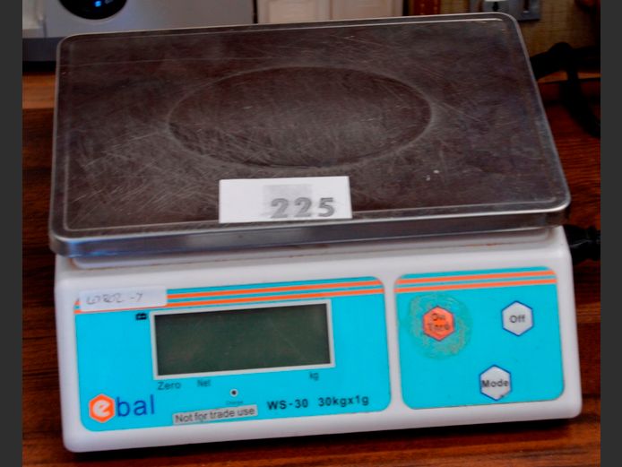 E BAL DIGITAL SCALE [Switches on, untested further]