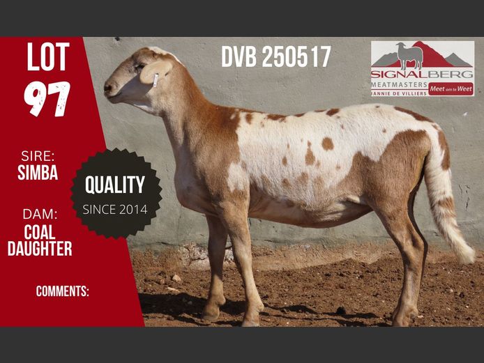 DVB 250517 | SIGNALBERG MEATMASTERS