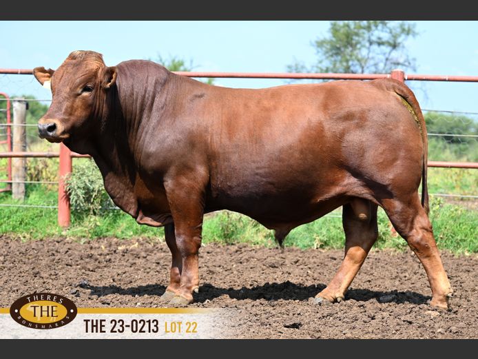 THE 230213 | J.A. PIENAAR